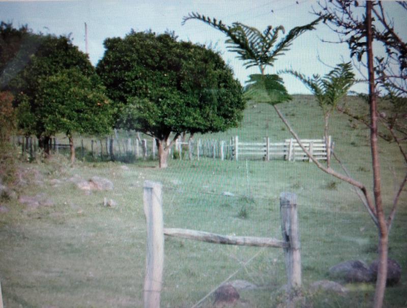 https://www.sistemaagiweb.com.br/fotos/Emp122/0_23185_125921.jpg