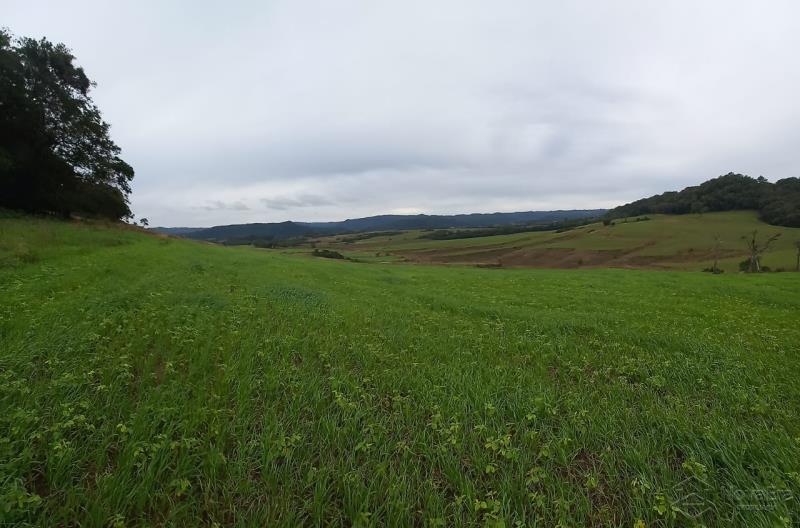 Área Rural Código 7500 a Venda no bairro Santo Antão na cidade de Santa Maria