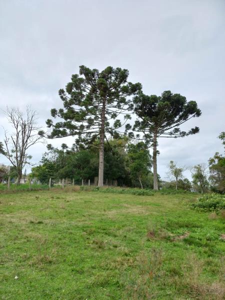 Terreno Código 7588 a Venda no bairro Centro na cidade de Itaara