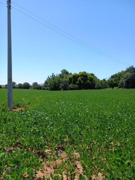 Área Rural Código 7674 a Venda no bairro Camobi na cidade de Santa Maria