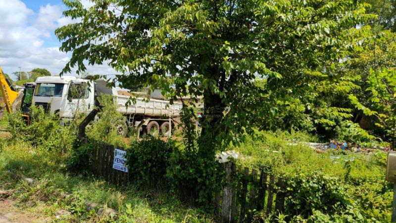 Terreno Código 7871 a Venda no bairro Tomazetti na cidade de Santa Maria