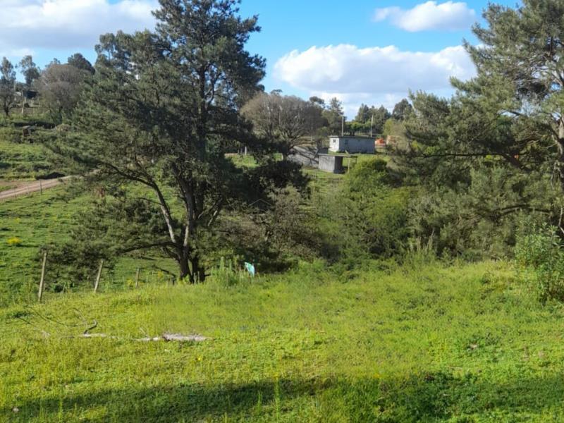 Terreno-Codigo-7872-a-Venda-no-bairro-Vila-Etelvina-na-cidade-de-Itaara