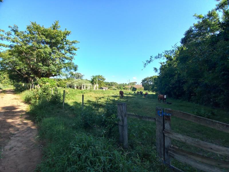 Área Rural Código 7883 a Venda no bairro Camobi na cidade de Santa Maria