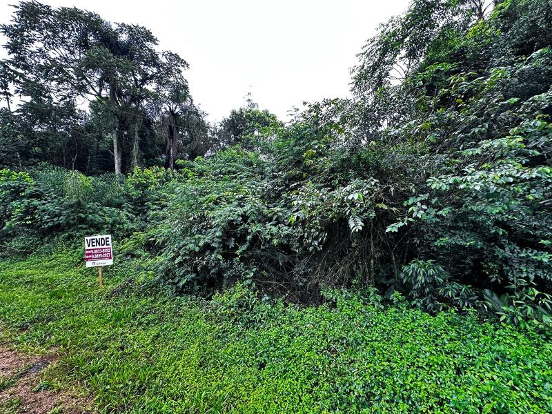 Terreno Codigo 30651 a Venda no bairro palmeira do meio na cidade de Orleans