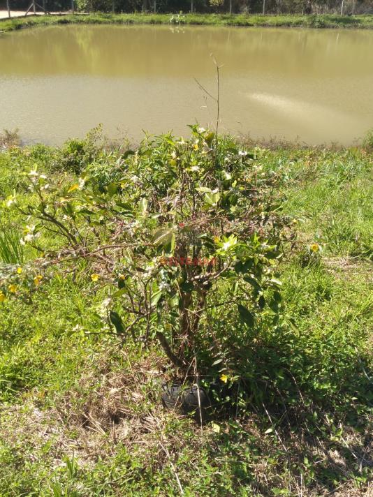 Chácara Código 5454 a Venda no bairro Rio do Meio na cidade de Itajaína Imobiliária DeltaMar5 