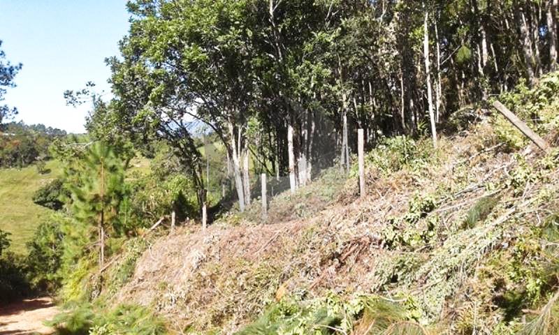 Terreno Código 3872 a Venda no bairro Centro na cidade de Santo Amaro da Imperatriz Condominio 
