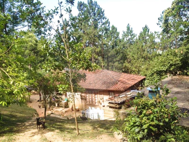 Sítio Código 4282 a Venda no bairro Varginha na cidade de Santo Amaro da Imperatriz Condominio 