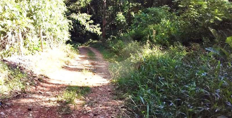 Sítio Código 4559 a Venda no bairro Varginha na cidade de Santo Amaro da Imperatriz Condominio 
