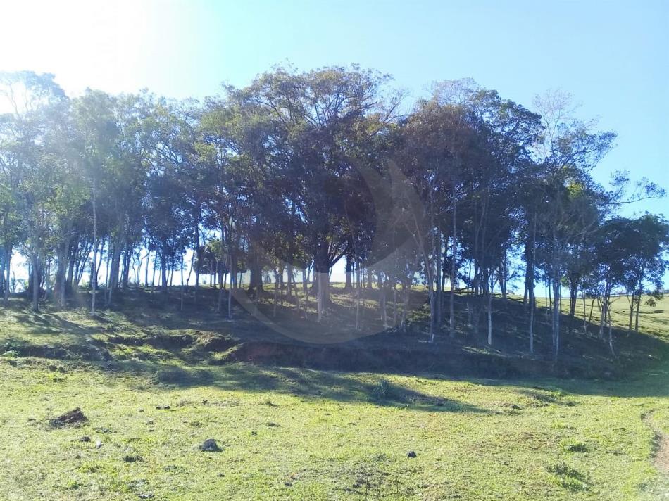 Terreno Código 4653 a Venda no bairro Alto Aririu na cidade de Palhoça Condominio 