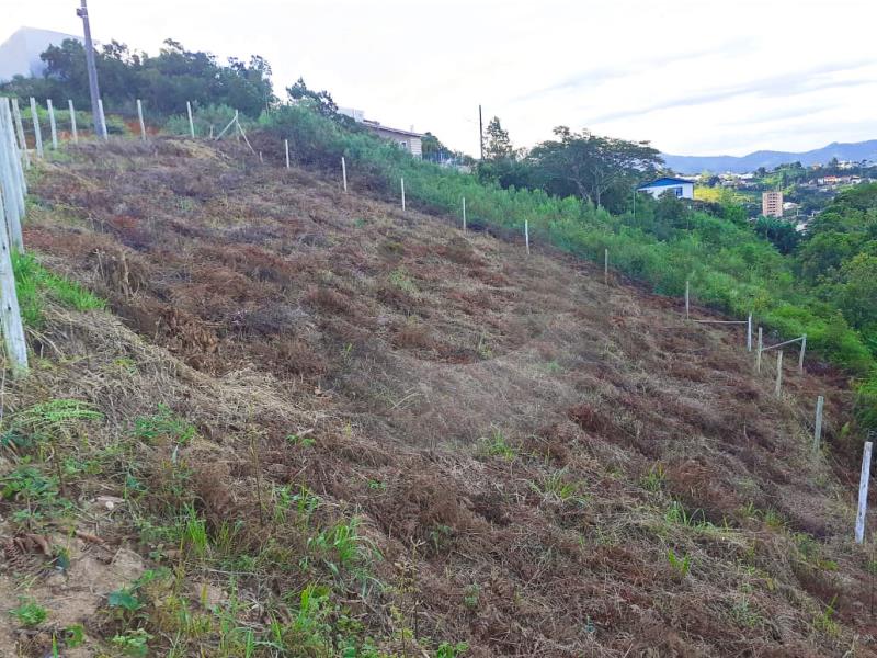 Terreno Código 4924 a Venda no bairro Fabricio na cidade de Santo Amaro da Imperatriz Condominio 
