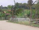 Rua