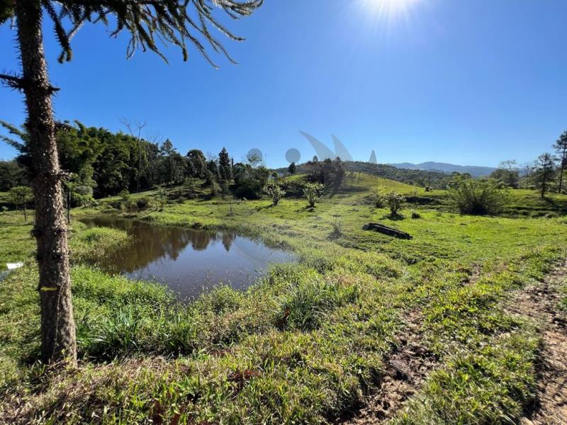 ponta lago