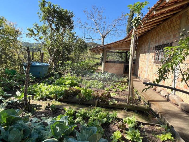 casa horta