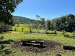 lado lago tronco