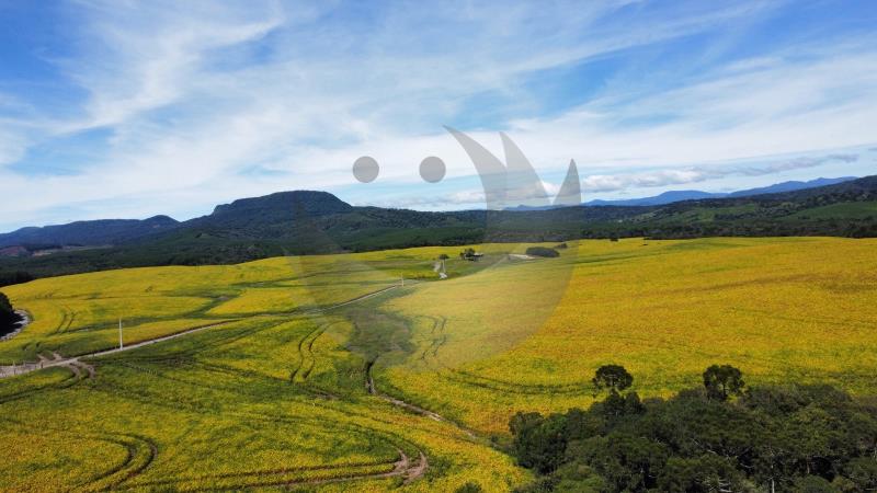 Fazenda-Sítio-Chácara, 425 hectares - Foto 1