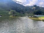 lago