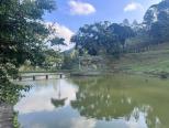 lago