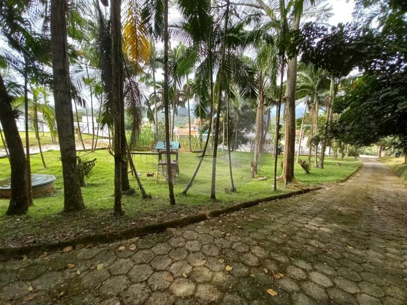 play