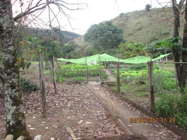 Fazenda-Codigo-12787-a-Venda-no-bairro-Centro-na-cidade-de-Chácara