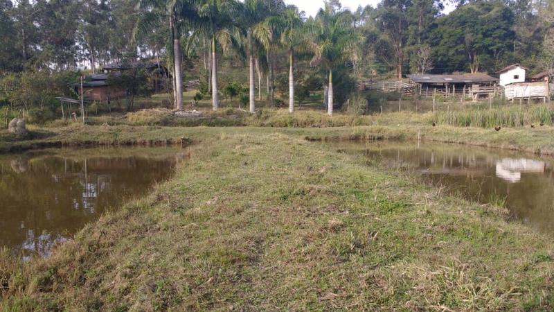 Sítio-Codigo-16954-a-Venda-no-bairro-Centro-na-cidade-de-Albertos