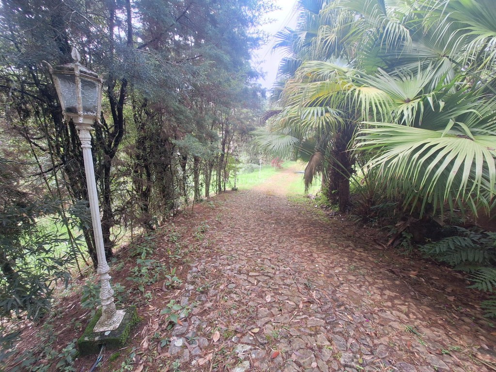 Sítio-Codigo-21415-a-Venda-no-bairro-Barreira-do-Triunfo-na-cidade-de-Juiz-de-Fora