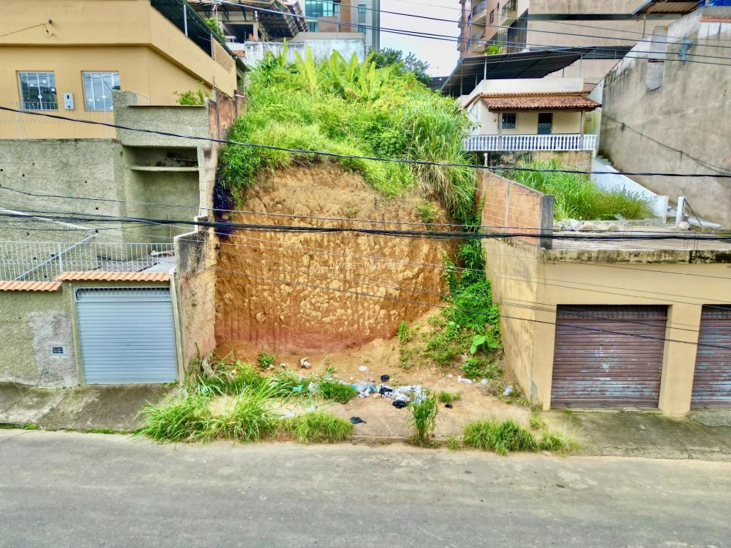 Terreno a Venda no bairro Teixeiras na cidade de Juiz de Fora — área 30000 m², Valor R$ 250000.