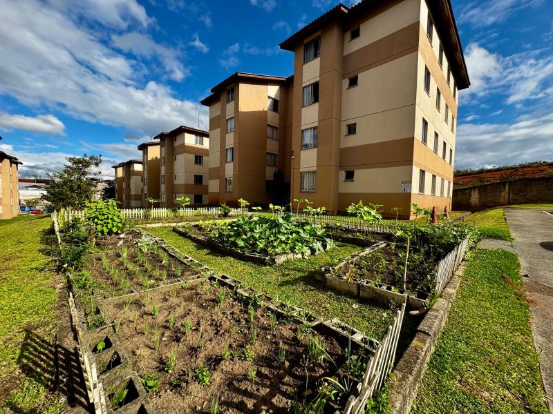 Apartamento Código 50023 para venda RESIDENCIAL FIRENZE SÃO JOSÉ DOS PINHAIS no bairro Colônia Rio Grande na cidade de São José dos Pinhais