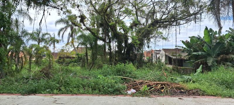 Terreno Código 30192 para Venda no bairro Barra do Saí na cidade de Itapoá
