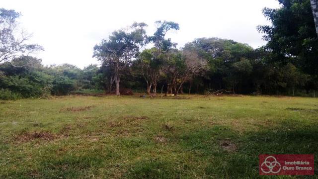 Terreno, 1 hectares - Foto 3