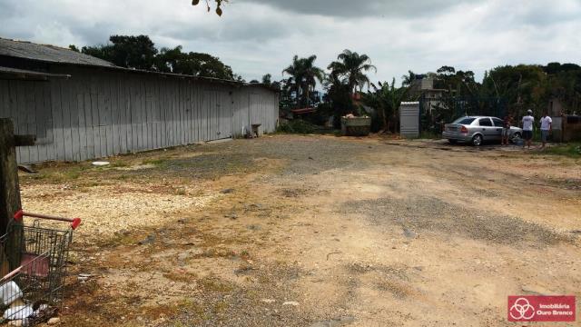 Loteamento e Condomínio - Foto 1