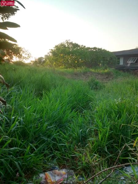 Terreno, 6000 m² - Foto 1