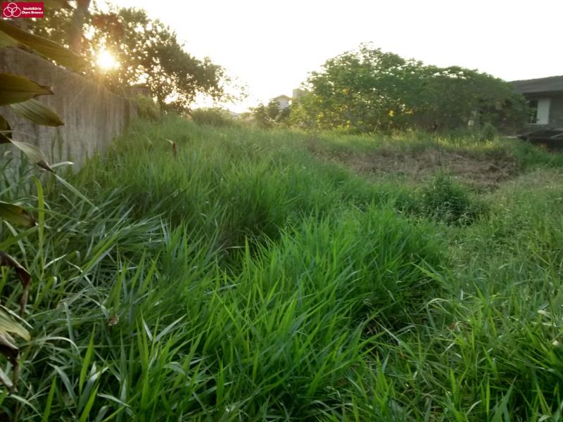 Terreno, 6000 m² - Foto 3