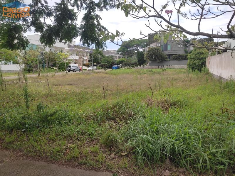 Terreno para Comprar no bairro Jurerê Internacional em Florianópolis - Código 3171