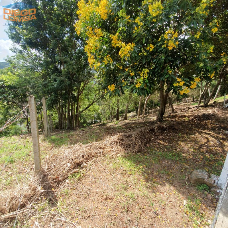 Terreno para Comprar no bairro Cachoeira do Bom Jesus em Florianópolis - Código 3655