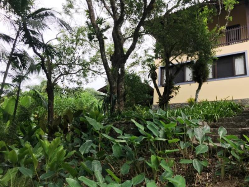 Casa-Codigo-1060-a-Venda-no-bairro-Lagoa-da-Conceição-na-cidade-de-Florianópolis
