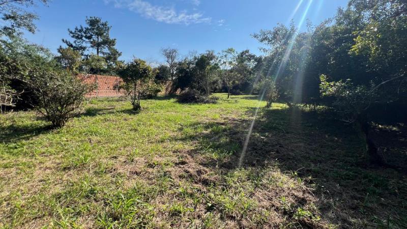 Terreno-Codigo-2179-a-Venda-no-bairro-São-João-do-Rio-Vermelho-na-cidade-de-Florianópolis