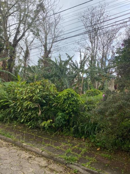 Terreno-Codigo-2391-a-Venda-no-bairro-Lagoa-da-Conceição-na-cidade-de-Florianópolis