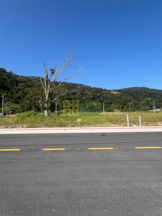 terreno-codigo-10609-venda-no-bairro-alto-pereque-na-cidade-de-porto-belo