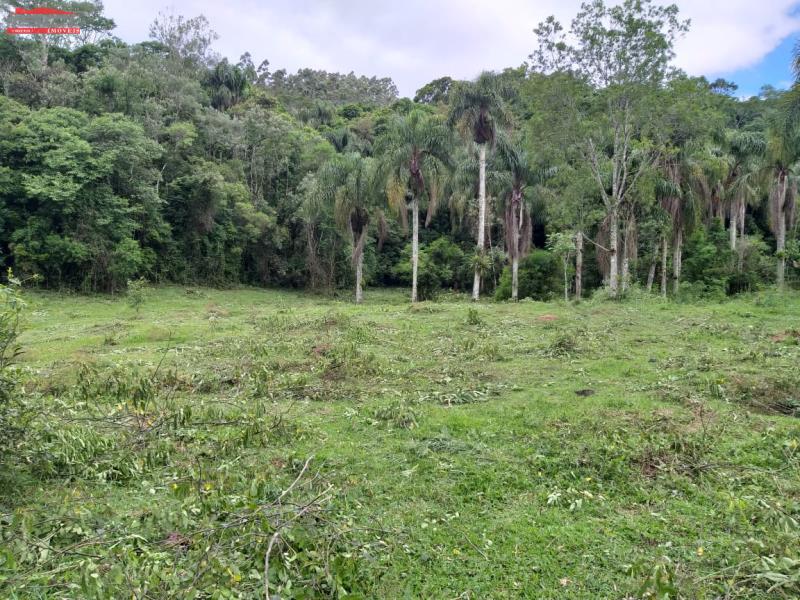 Sítio - Código 1029 Imóvel a Venda no bairro Centro na cidade de Águas Mornas