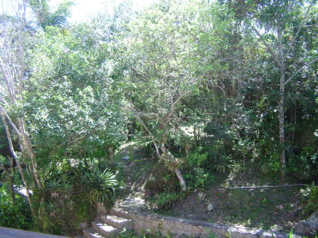 Casa Código 8914 para Venda  no bairro Ponta das  Canas na cidade de Florianópolis