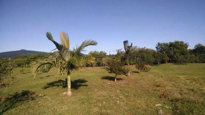 Terreno Código 9034 para Venda VILAPORÉ no bairro Canasvieiras na cidade de Florianópolis