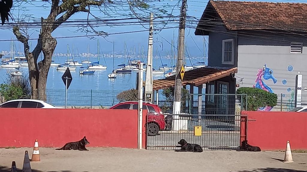 Terreno Código 11084 para Venda  no bairro Santo Antônio de Lisboa na cidade de Florianópolis