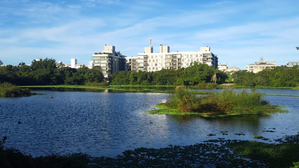 Apartamento para Venda - Jurerê Internacional - Florianópolis - Cód 11801