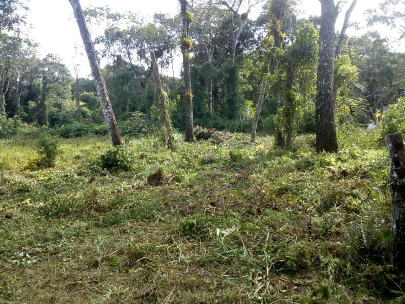 Terreno-Codigo-988-a-Venda-no-bairro-Brandalize-na-cidade-de-Itapoá