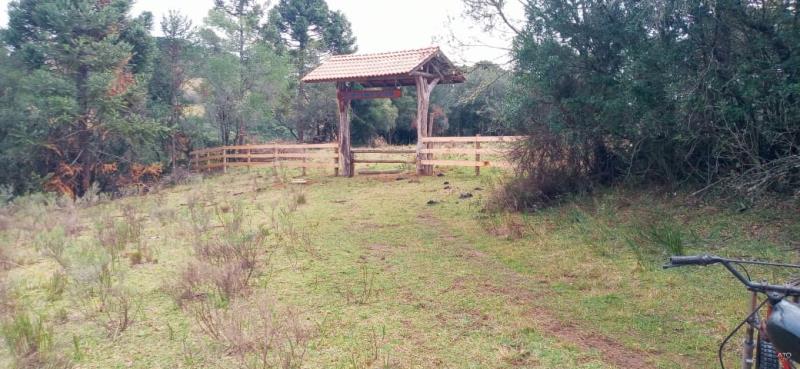 Terreno-Codigo-1485-a-Venda-no-bairro-Interior-na-cidade-de-Urupema